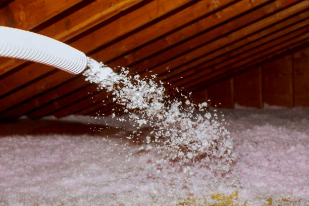 Best Commercial Insulation in Delphos, OH