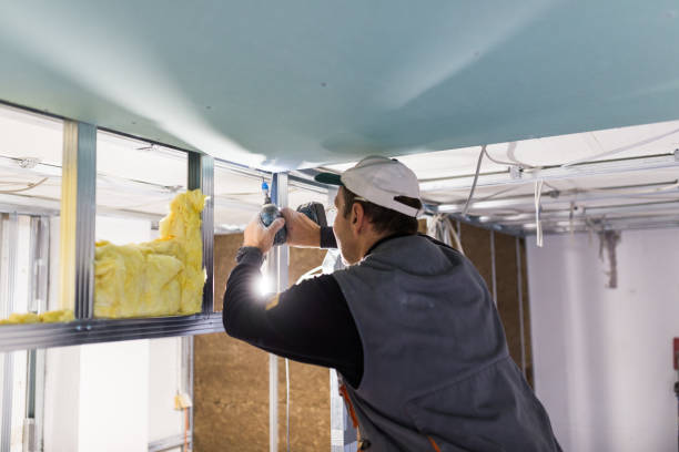 Best Insulation Maintenance and Repair in Delphos, OH