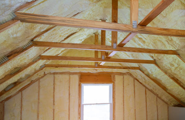 Best Insulation Installation Services in Delphos, OH